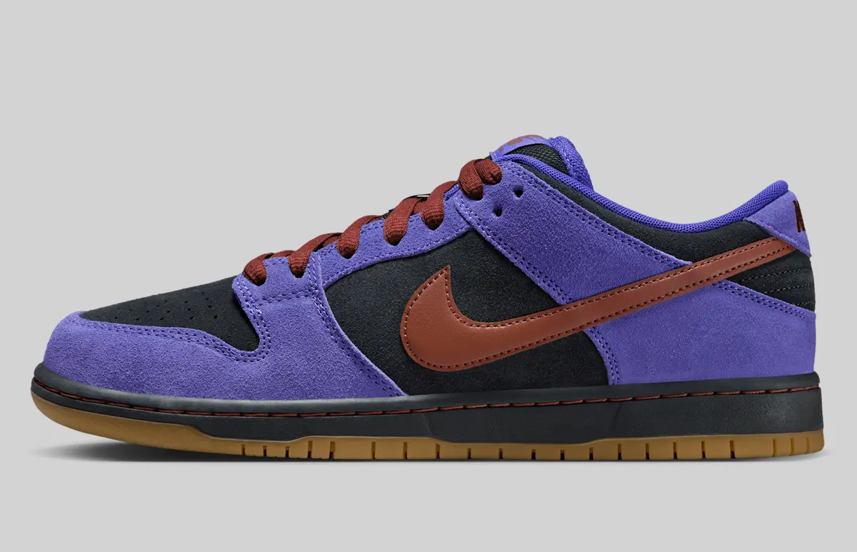 NIKE SB DUNK LOW PRO / ナイキ SB ダンク LOW プロ Persian