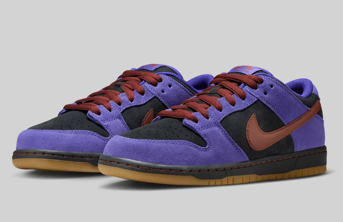 NIKE SB DUNK LOW PRO / ナイキ SB ダンク LOW プロ Persian