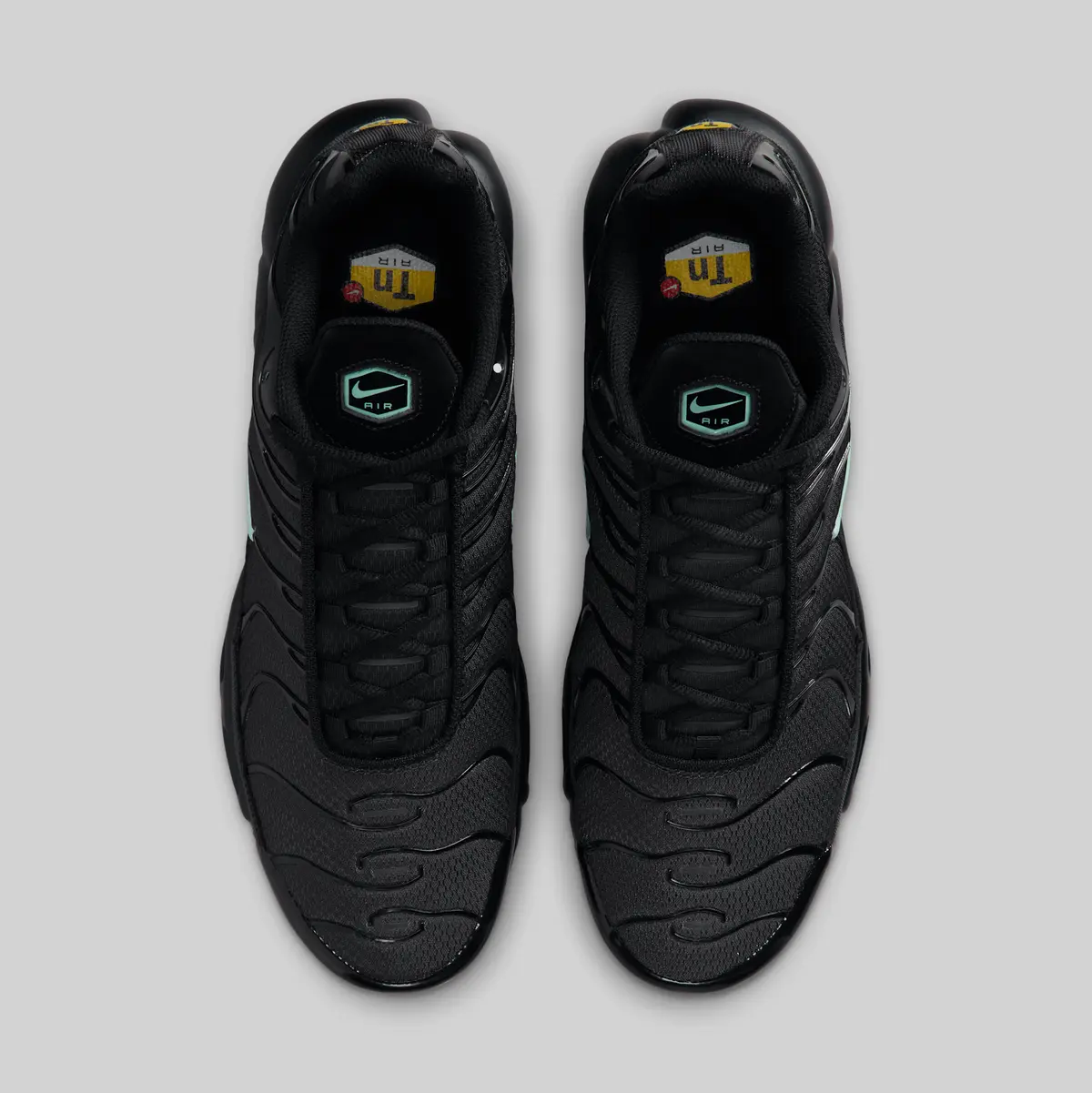 9/11発売 NIKE AIR MAX PLUS / ナイキ エア マックス プラス Black