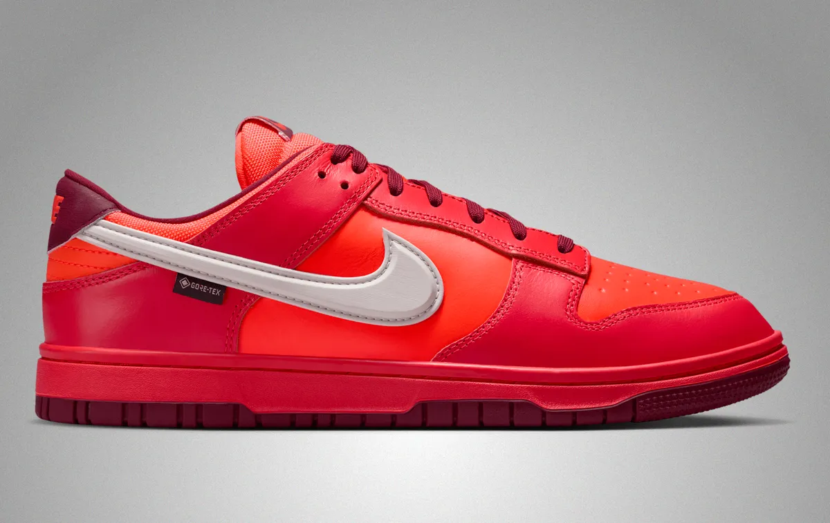 NIKE DUNK LOW GORE-TEX / ナイキ ダンク LOW ゴアテックス Total Crimson Light Crimson Red Crush Light Iron Ore HQ2053-800