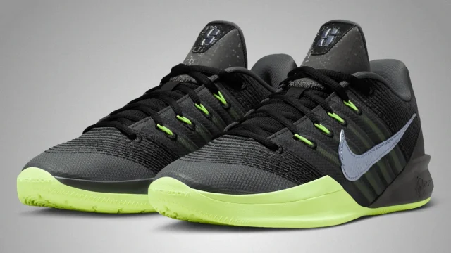 NIKE ナイキBQ5422-003 ズームフリーク1 メンズ ナイキ ズーム フリーク 1 BQ5422 (バスケットシューズ) 価格比較